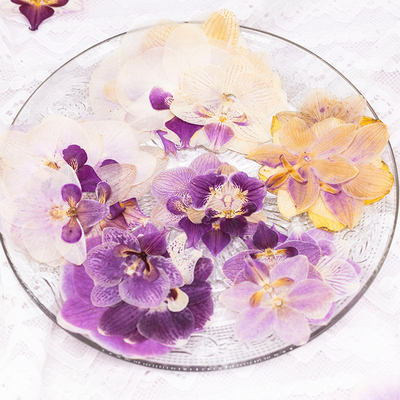 4 têtes de fleurs d'orchidées  - Dried Flower Bookmark avis et prix
