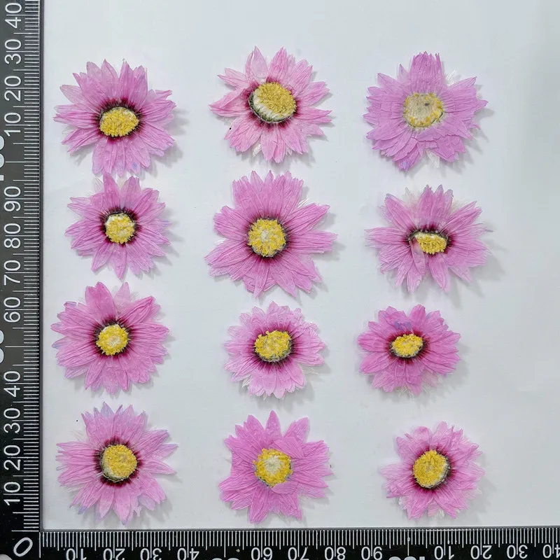 Pétales de fleurs de Murcia na - Dried Flower Bookmark avis et prix